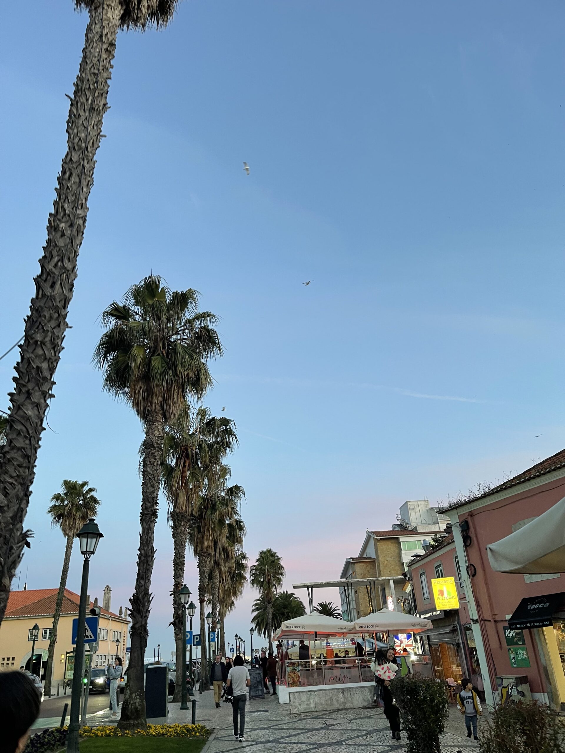 Photo de Cascais au couché de soleil avec des palmiers